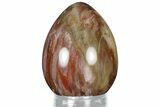 Colorful, Polished Petrified Wood Egg - Madagascar #318347-1